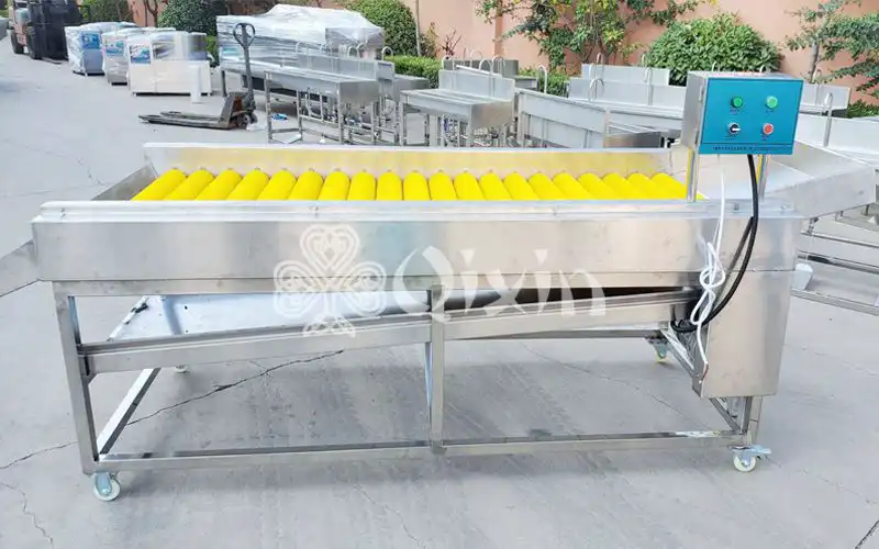 Brush roller spray cleaning machine