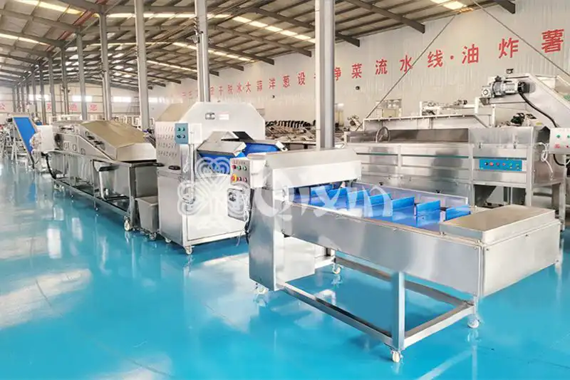 vegetable processing lines