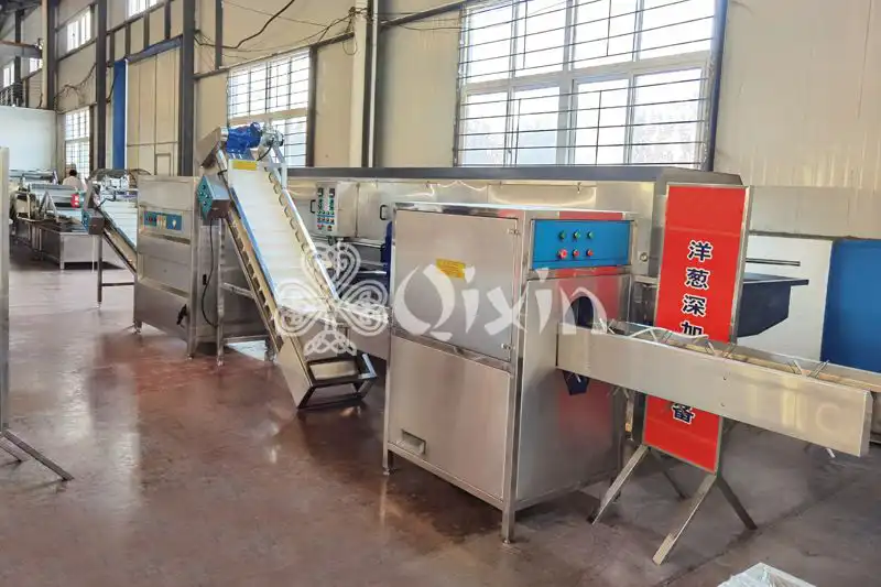 Onion Powder production line