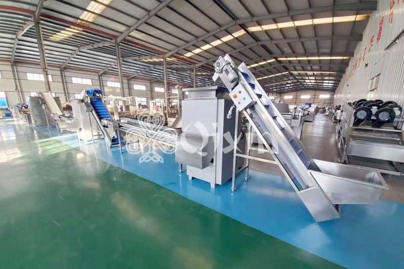 Garlic powder production line