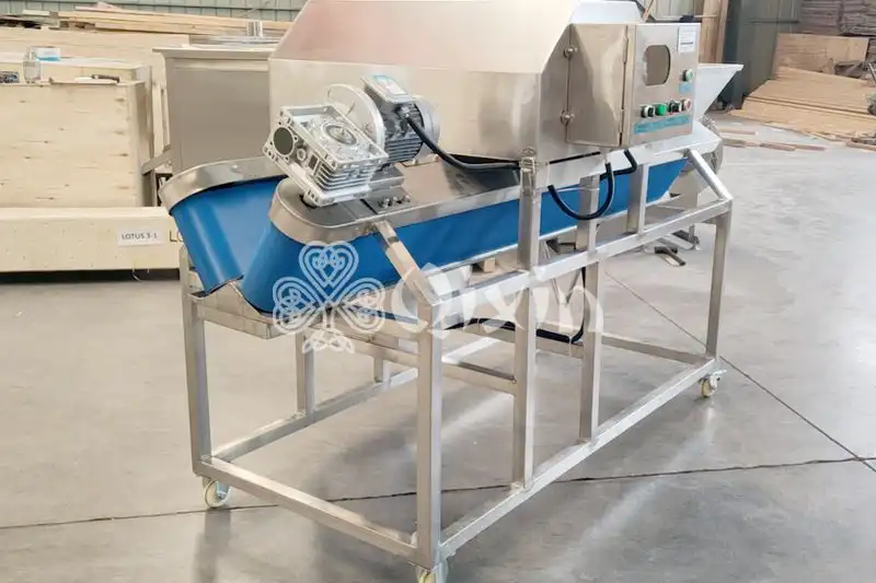 Fruit Vegetable Halving Machine