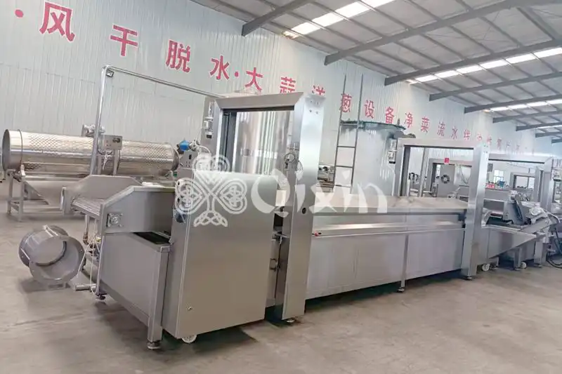 Continuous Frying Machine
