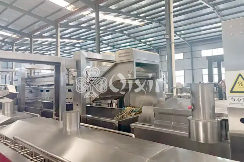 Continuous Frying Machine