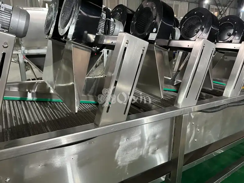 2025_12_12_12_22_IMG_4807