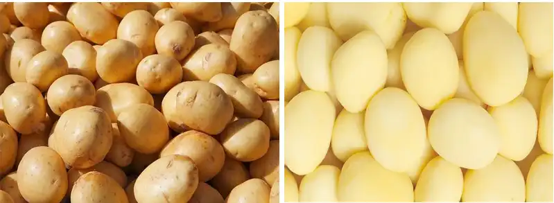 potato washing peeling