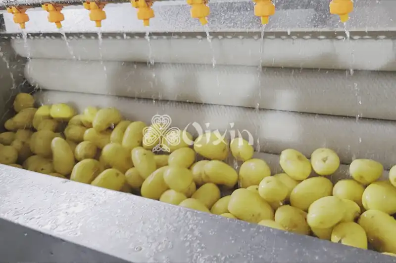 Brush washing machine (25)