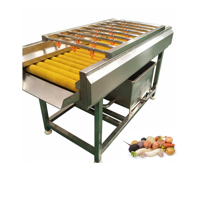 Brush roller spray cleaning machine